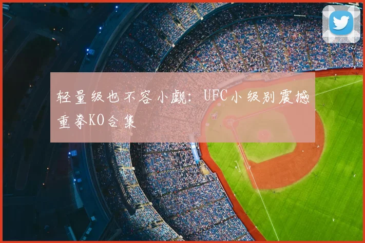 轻量级也不容小觑：UFC小级别震撼重拳KO合集
