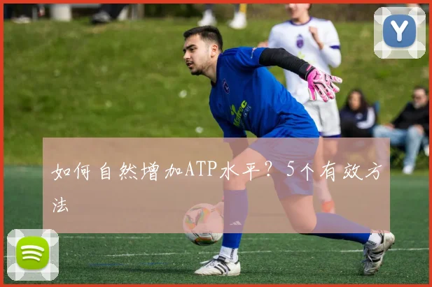 如何自然增加ATP水平？5个有效方法