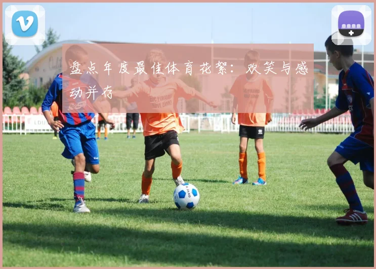 盘点年度最佳体育花絮：欢笑与感动并存
