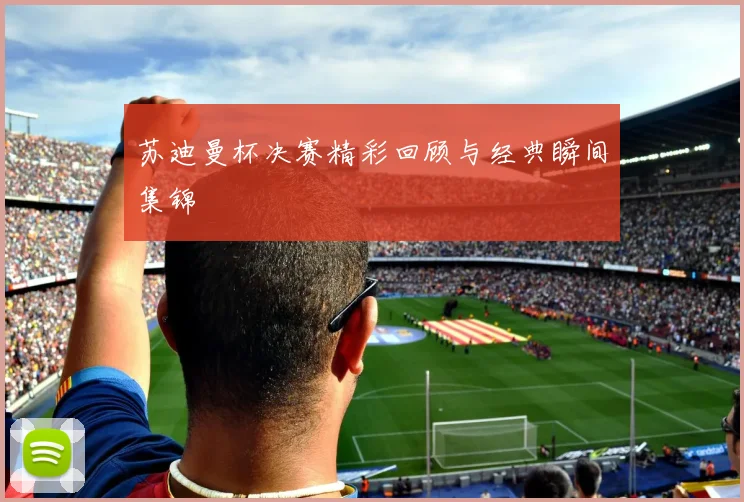 苏迪曼杯决赛精彩回顾与经典瞬间集锦