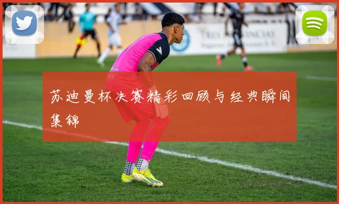 苏迪曼杯决赛精彩回顾与经典瞬间集锦