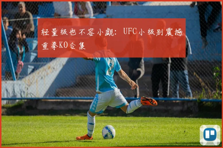轻量级也不容小觑：UFC小级别震撼重拳KO合集
